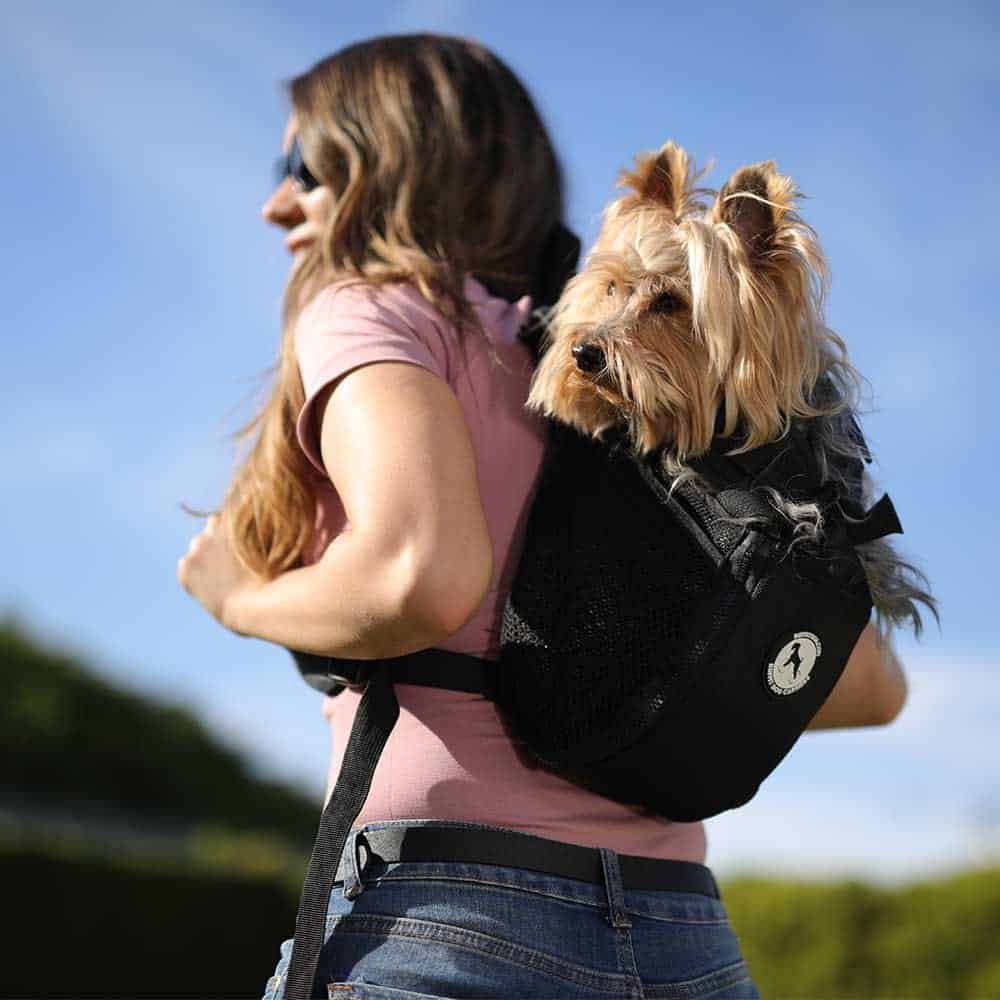 Bolsa de transporte para cães usada em viagens aéreas